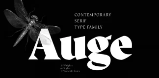 Auge Font Family by Fontfabric Auge Font Family by Fontfabric