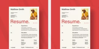 The InDesign Resume Template That Commands Attention Stylish Adobe InDesign Resume Template by PixWork in A4
