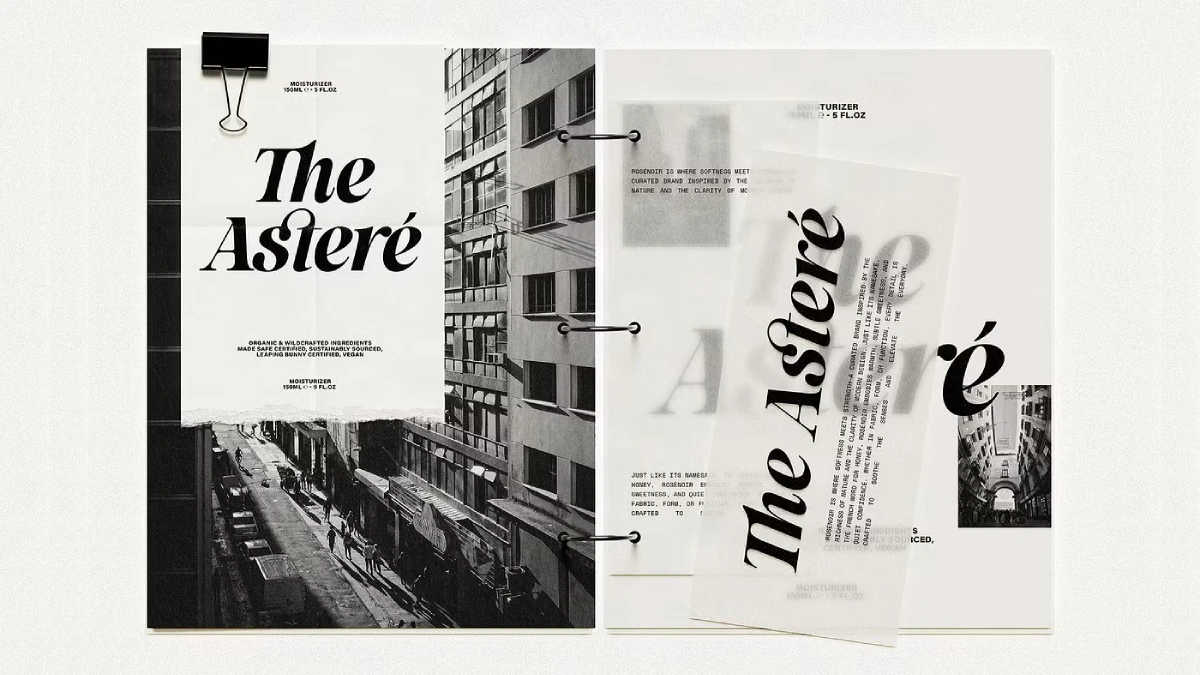 SLTF La Mystere Font by SilverStag Type Foundry SLTF La Mystere Font by SilverStag Type Foundry