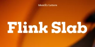 Flink Slab Font Family by Identity Letters