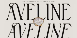 Aveline Typeface by CarmineType, a Versatile Hybrid Serif Font