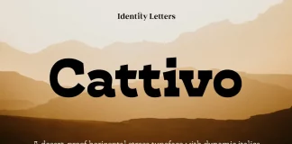 Cattivo Font Family by Identity Letters