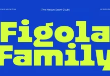 Figola Font Family by The Native Saint Club