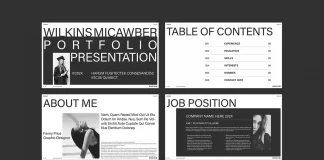 How a Resume Portfolio Presentation Template Transforms Your Job Hunt Strategy Resume Portfolio Presentation Template by E-Type for Adobe InDesign
