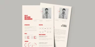 Resume and Cover Letter Template: Why Adobe InDesign’s Modular Design Defines Professional Applications Adobe InDesign Resume and Cover Letter Template in A4 for Job Applications by Designcy Studio
