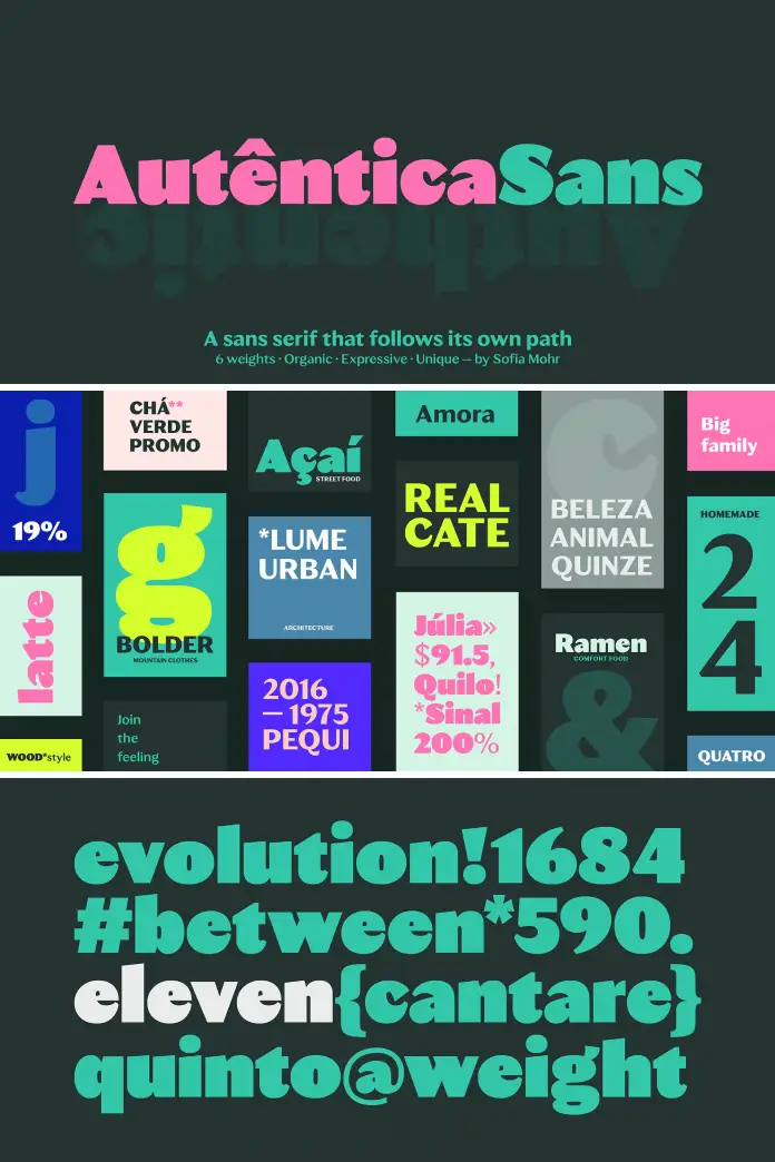 Autêntica Sans Font Family by Sofia Mohr