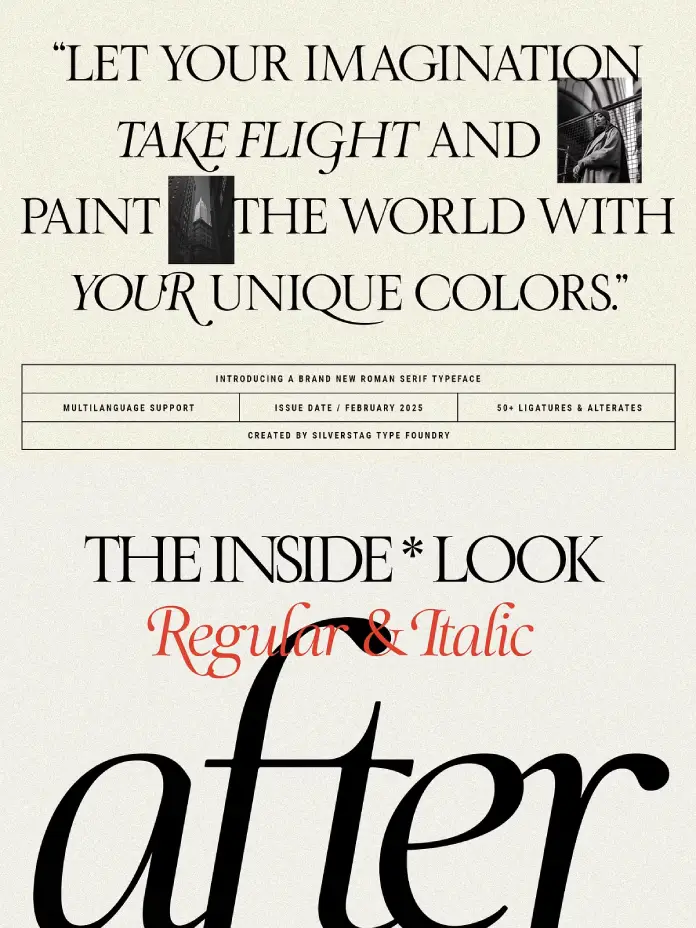 SLTF The Roman Edition - Serif Font by SilverStag Type Foundry
