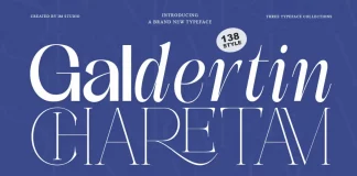 Galdertin Charetam Font Family by IM Studio.