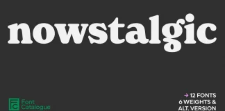Nowstalgic Font Family by Font Catalogue