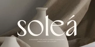 Soleá Typeface by CarmineType The Soleá typeface is an elegant font designed by CarmineType.