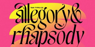 TAN Allegory Font Duo by TanType