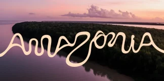 The Brazilian Amazon finally has an official brand developed by FutureBrand in São Paulo.