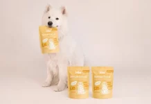 Bau Nutrition Pet Food Packaging Proves That Pet Care Deserves Better Design Bau Nutrition by Erreinua Studio