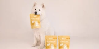 Bau Nutrition Pet Food Packaging Proves That Pet Care Deserves Better Design Bau Nutrition by Erreinua Studio