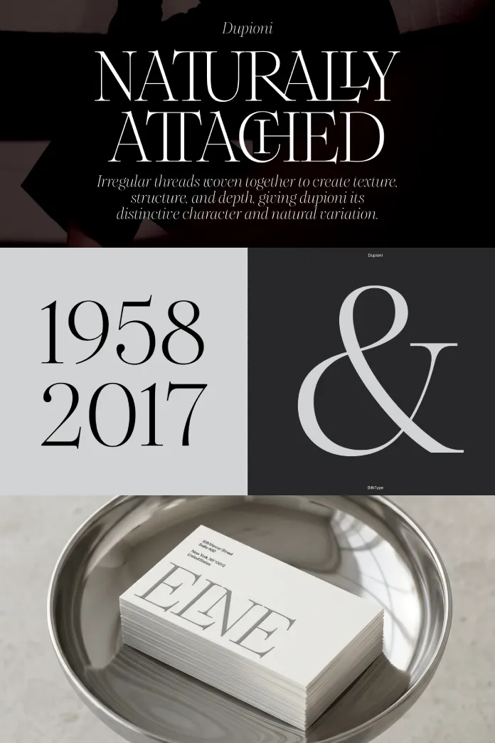 Dupioni font family by SilkType