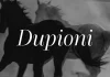 Dupioni font family by SilkType