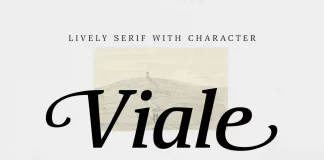 Viale Font Family by ParaType: The Serif That Breathes Viale Font Family by ParaType