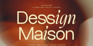 Dessign Maison Font by SilverStag Type Foundry