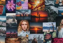 Adobe Stock AI Studio vs. Creative Fabrica Studio AI.