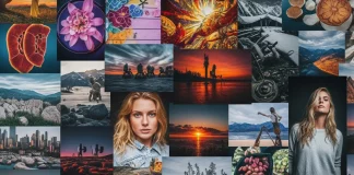 Adobe Stock AI Studio vs. Creative Fabrica Studio AI.