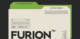 GC Furion Font Family by Glyphonic