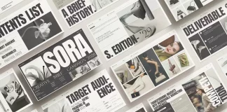 A creative brief campaign presentation template for Adobe InDesign, Google Slides, Canva, Keynote, Affinity Studio, and PowerPoint, designed by Studio Monova.