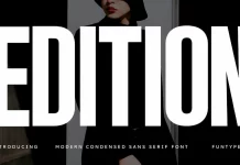 Edition Font by Funtype Co.