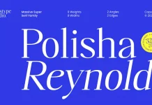 Polisha Reynold font family by Bosstype Studio