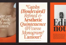 The Astoria's Editorial Serif font family by CarmineType.