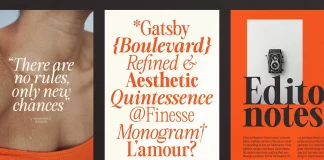 The Astoria's Editorial Serif font family by CarmineType.