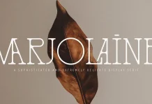 Marjolaine Typeface by Carmine Type Marjolaine Typeface by Carmine Type.