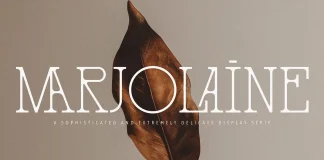 Marjolaine Typeface by Carmine Type.