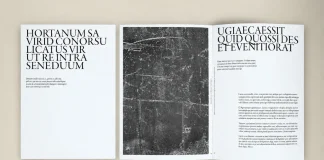 A minimalist art book template for Adobe InDesign layouts in A4, created by McLittle Stock.
