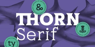 Thorn Serif font family by Type Forward.