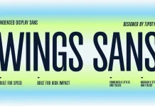 Wings Sans font family by TipoType