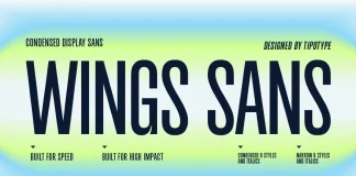 Wings Sans font family by TipoType
