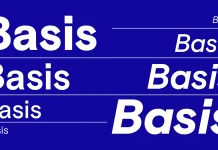 Basis Grotesque Font Family by Colophon Foundry