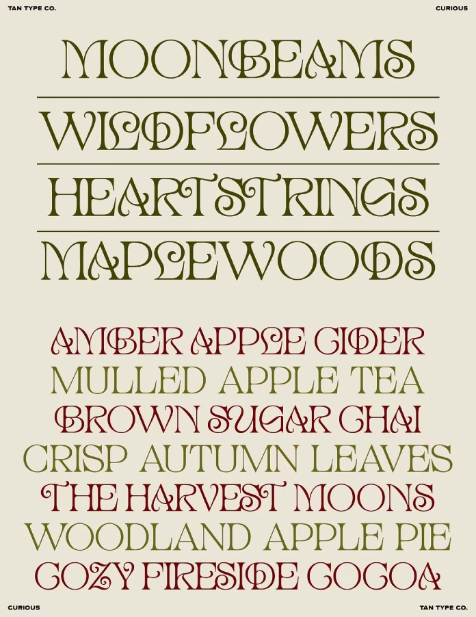 TAN Curious font by TanType