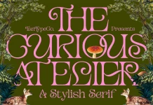 TAN Curious font by TanType