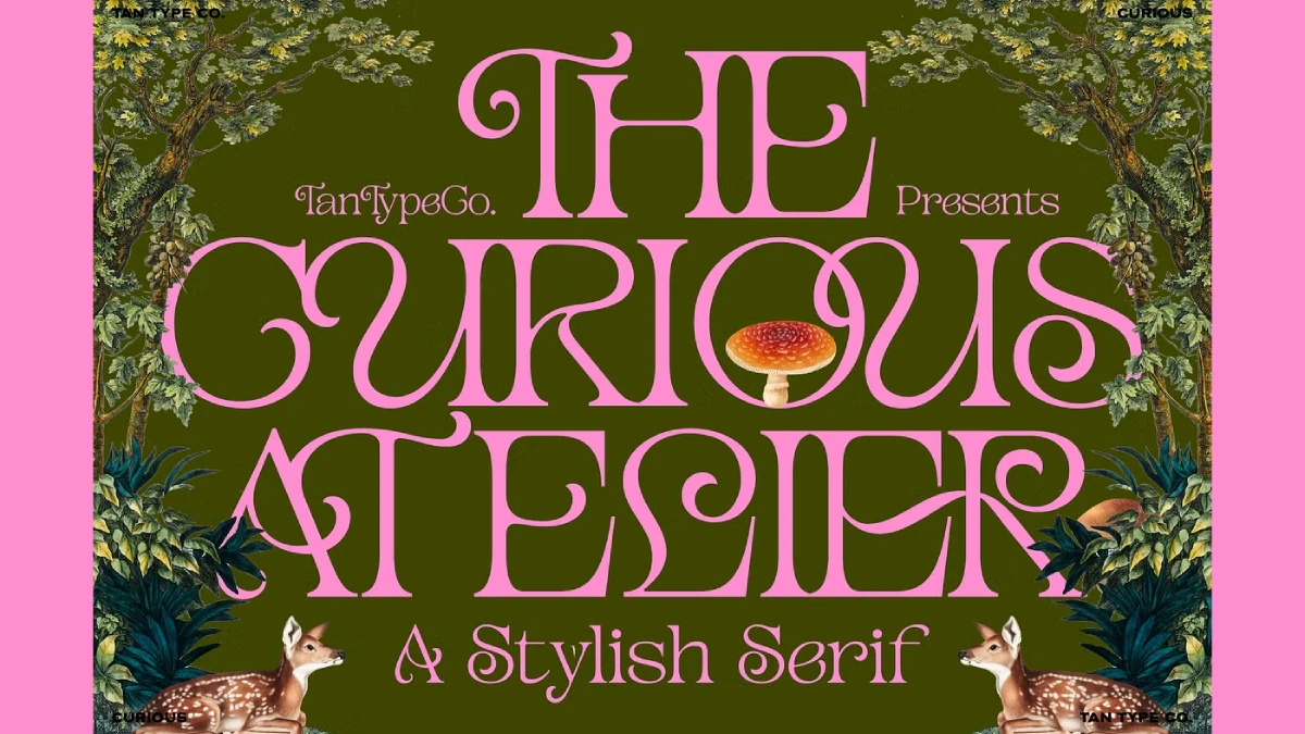 TAN Curious font by TanType TAN Curious font by TanType